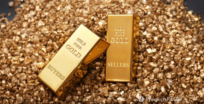 12 – The Investors Golden Rules